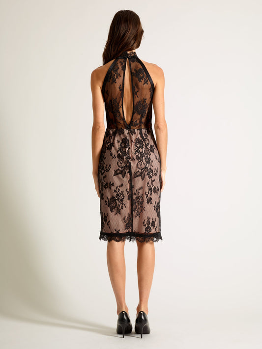 Empress Lace Dress, Remixed - Michelle Palmer Designs