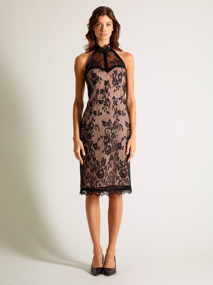 Empress Lace Dress, Remixed - Michelle Palmer Designs